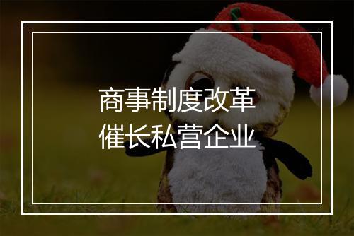 商事制度改革催长私营企业