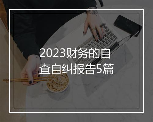 2023财务的自查自纠报告5篇