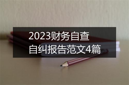 2023财务自查自纠报告范文4篇
