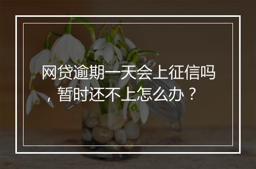 网贷逾期一天会上征信吗，暂时还不上怎么办？