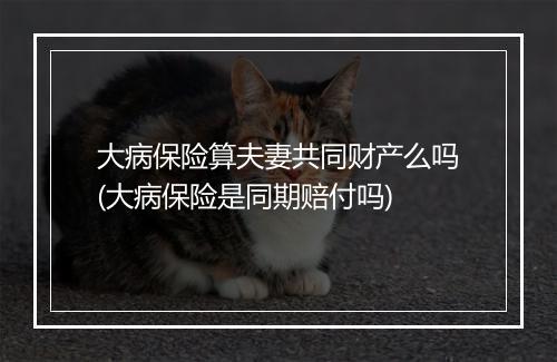 大病保险算夫妻共同财产么吗(大病保险是同期赔付吗)