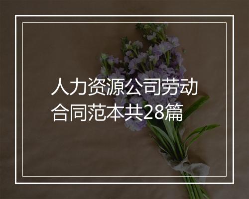 人力资源公司劳动合同范本共28篇
