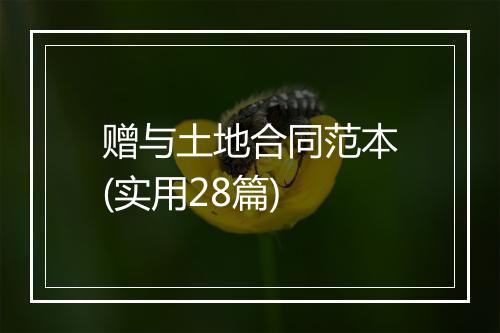 赠与土地合同范本(实用28篇)