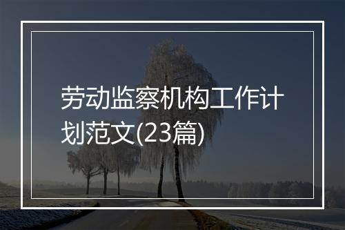 劳动监察机构工作计划范文(23篇)