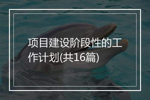 项目建设阶段性的工作计划(共16篇)