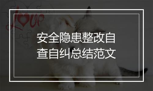 安全隐患整改自查自纠总结范文