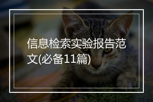 信息检索实验报告范文(必备11篇)