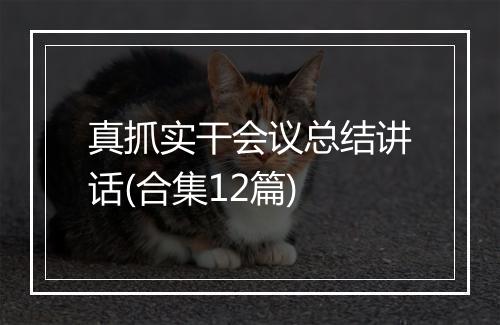 真抓实干会议总结讲话(合集12篇)