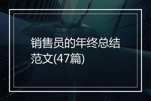 销售员的年终总结范文(47篇)