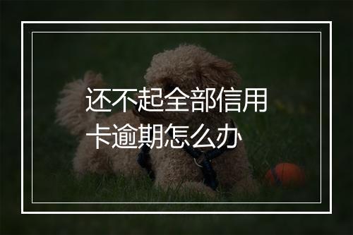 还不起全部信用卡逾期怎么办