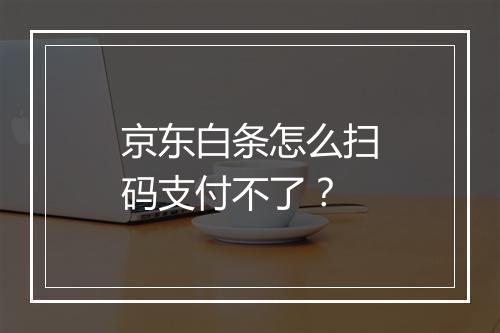 京东白条怎么扫码支付不了？