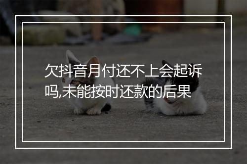 欠抖音月付还不上会起诉吗,未能按时还款的后果