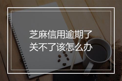 芝麻信用逾期了关不了该怎么办