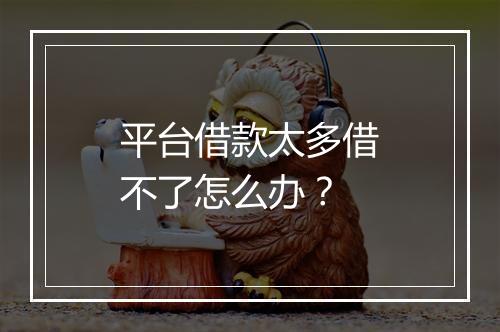 平台借款太多借不了怎么办？