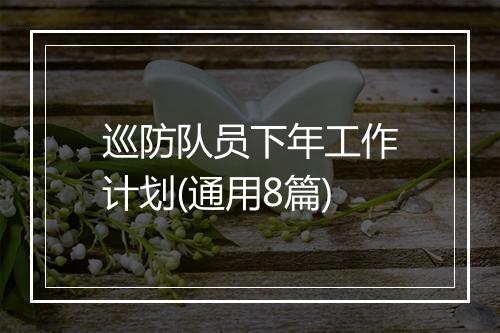 巡防队员下年工作计划(通用8篇)