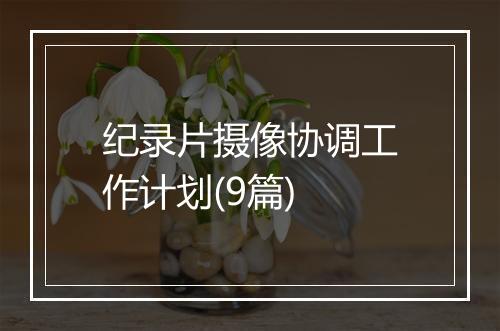 纪录片摄像协调工作计划(9篇)