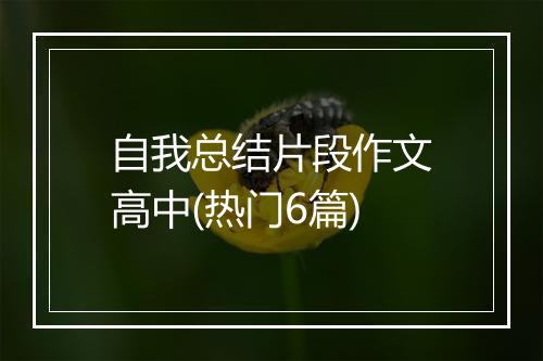 自我总结片段作文高中(热门6篇)