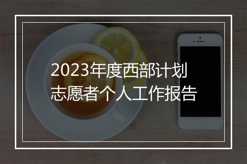 2023年度西部计划志愿者个人工作报告