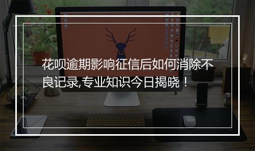 花呗逾期影响征信后如何消除不良记录,专业知识今日揭晓！