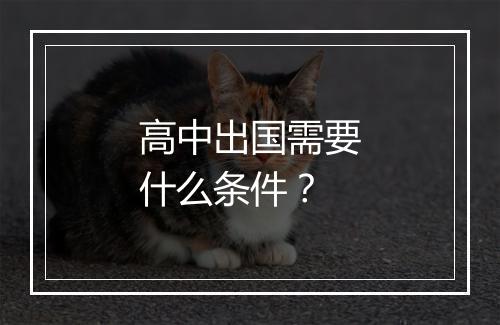 高中出国需要什么条件？