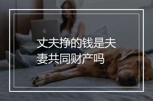 丈夫挣的钱是夫妻共同财产吗