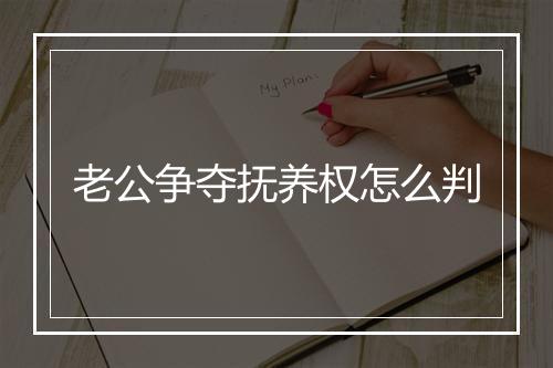 老公争夺抚养权怎么判