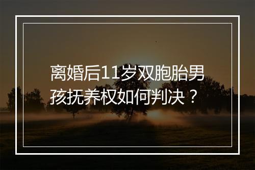 离婚后11岁双胞胎男孩抚养权如何判决？