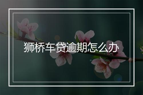 狮桥车贷逾期怎么办