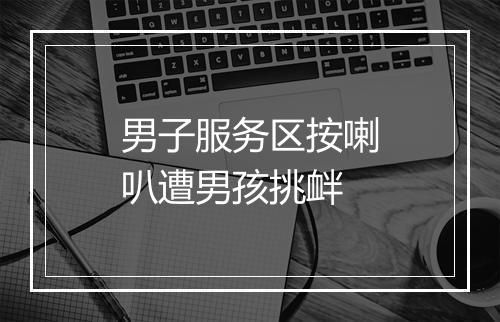 男子服务区按喇叭遭男孩挑衅