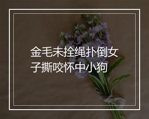 金毛未拴绳扑倒女子撕咬怀中小狗