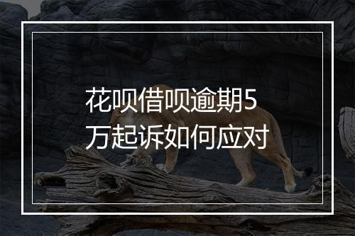 花呗借呗逾期5万起诉如何应对