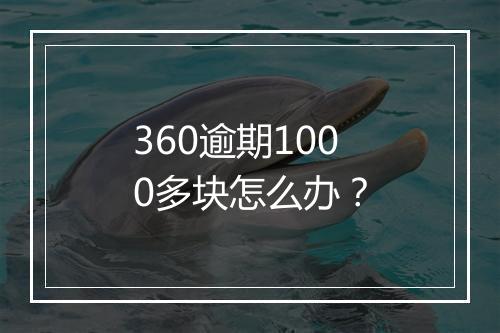 360逾期1000多块怎么办？