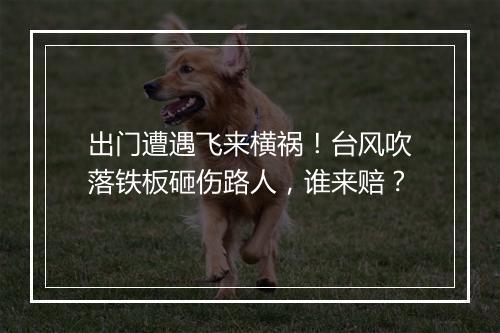 出门遭遇飞来横祸！台风吹落铁板砸伤路人，谁来赔？