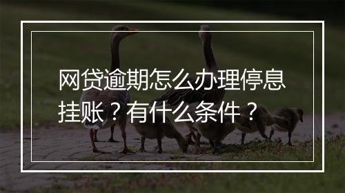 网贷逾期怎么办理停息挂账？有什么条件？