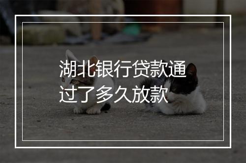 湖北银行贷款通过了多久放款