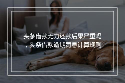 头条借款无力还款后果严重吗，头条借款逾期罚息计算规则
