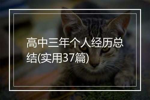 高中三年个人经历总结(实用37篇)