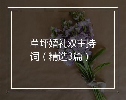 草坪婚礼双主持词（精选3篇）
