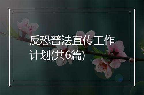 反恐普法宣传工作计划(共6篇)