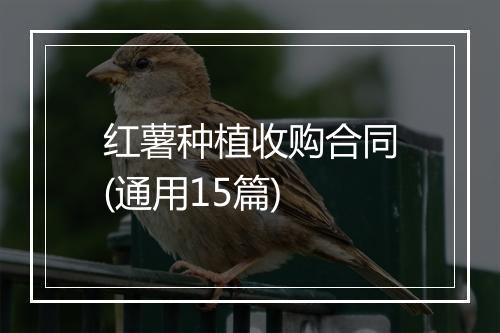 红薯种植收购合同(通用15篇)