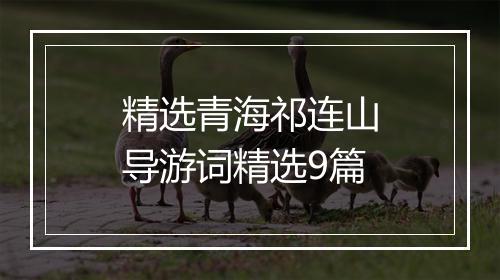 精选青海祁连山导游词精选9篇