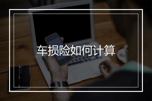 车损险如何计算