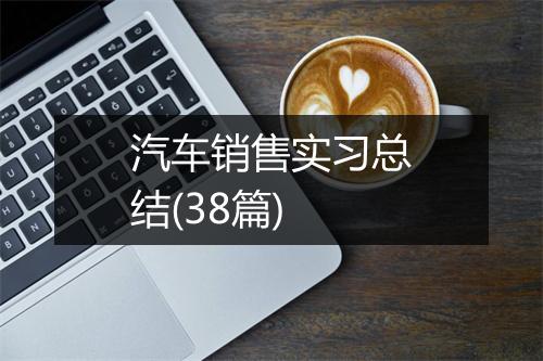 汽车销售实习总结(38篇)