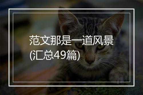 范文那是一道风景(汇总49篇)