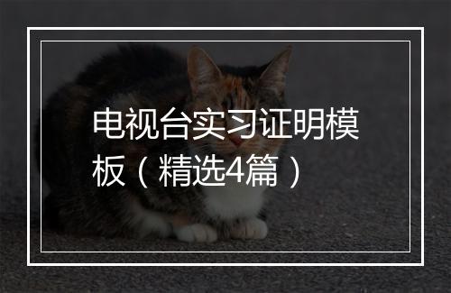 电视台实习证明模板（精选4篇）