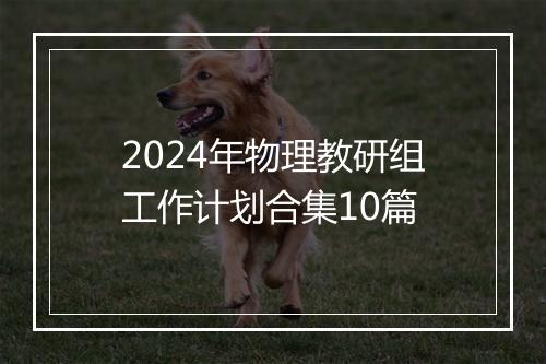 2024年物理教研组工作计划合集10篇