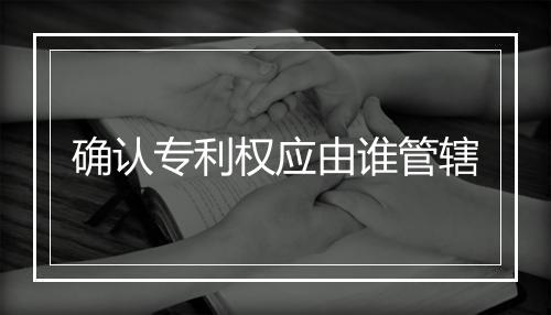 确认专利权应由谁管辖