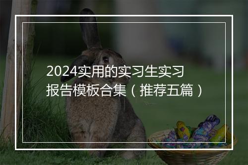 2024实用的实习生实习报告模板合集（推荐五篇）