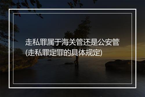 走私罪属于海关管还是公安管(走私罪定罪的具体规定)