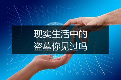 现实生活中的盗墓你见过吗